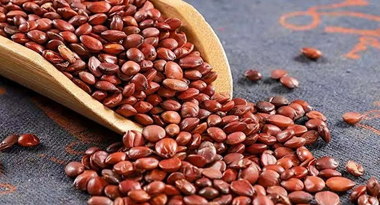 科技助力，赋能常态化健康养护